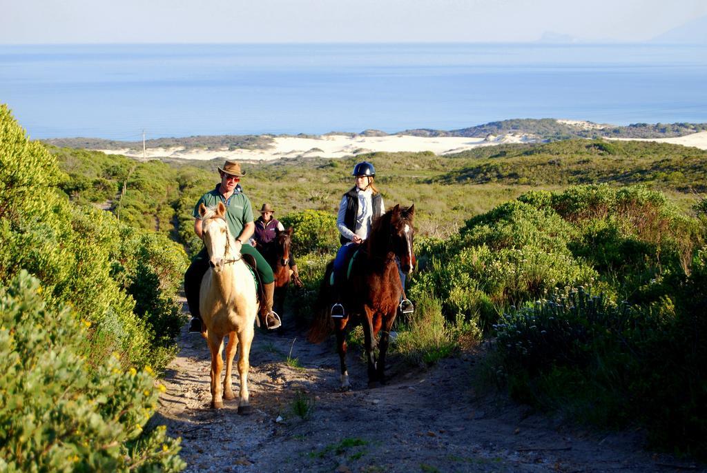 Hotel Grootbos Private Nature Reserve Gansbaai Exterior foto