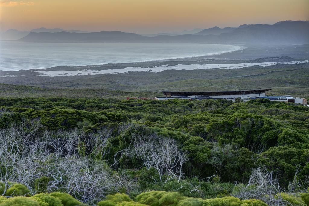 Hotel Grootbos Private Nature Reserve Gansbaai Exterior foto