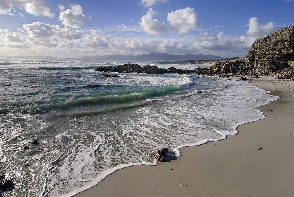 Hotel Grootbos Private Nature Reserve Gansbaai Exterior foto