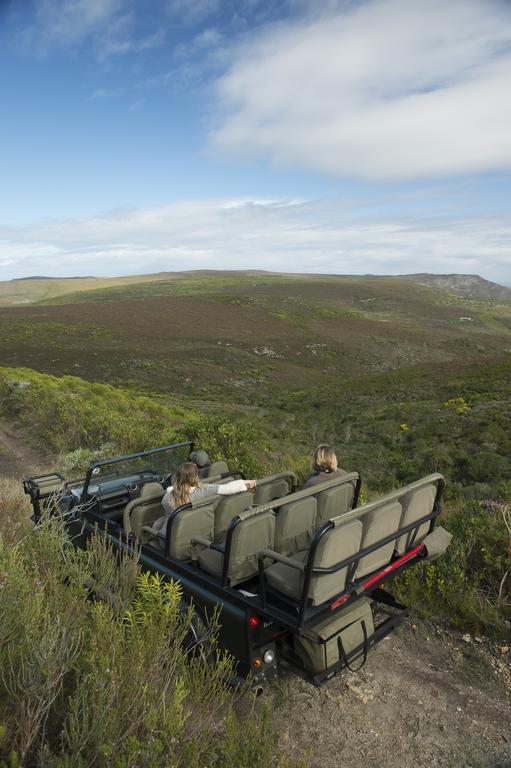 Hotel Grootbos Private Nature Reserve Gansbaai Exterior foto